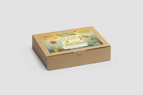 Hummel Bommel Saatgut-Box S (Karton)