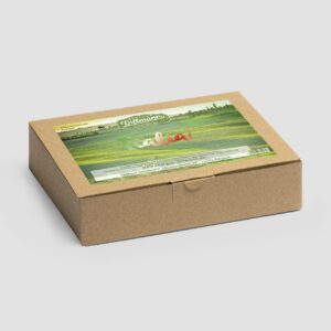 Italia Saatgut-Box S (Karton)