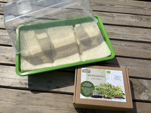 Microgreens Anzuchtset Bio