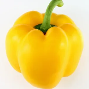 Paprika gelbe California Wonder