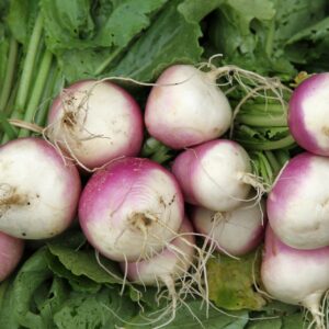 Mairübchen Di Milano Bio
