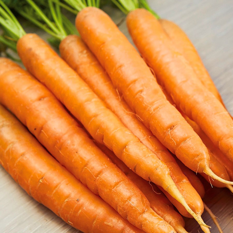 Narbonne F1 - Saatband