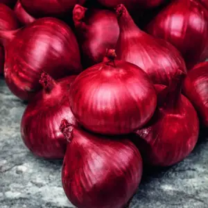 Steckzwiebel Red Baron 250g