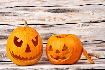 Kürbis (Halloween-) Jack O Lantern Bio