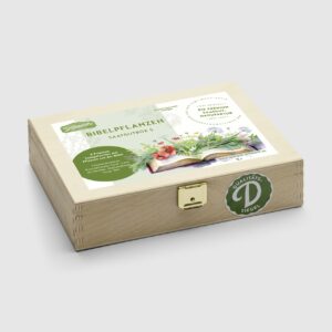 Bibel Saatgut-Box S Holz