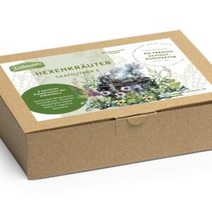 Hexenkräuter Saatgut-Box S (Karton)